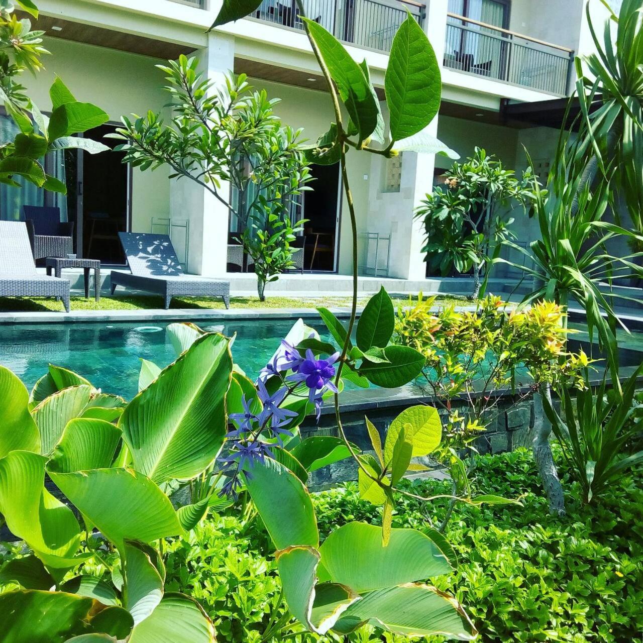 Arnaya Homestay Kuta Lombok Dış mekan fotoğraf